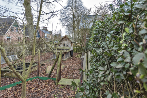 Skoalikkers 14 Augustinusga - Afbeelding 8.jpg