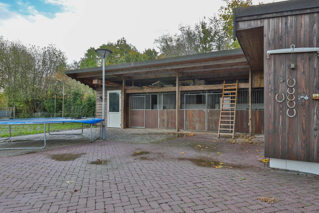 Skoalikkers 19 Augustinusga - Afbeelding 38.jpg