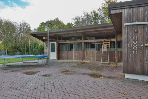 Skoalikkers 19 Augustinusga - Afbeelding 38.jpg