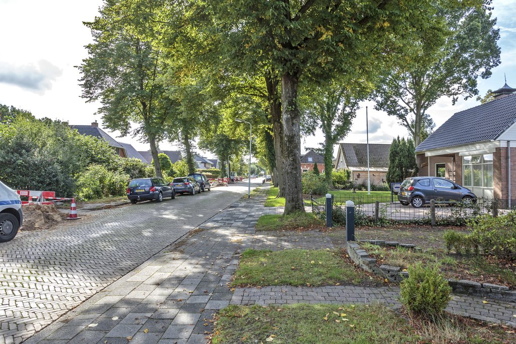 Skoalikkers 20 Augustinusga - Afbeelding 18.jpg