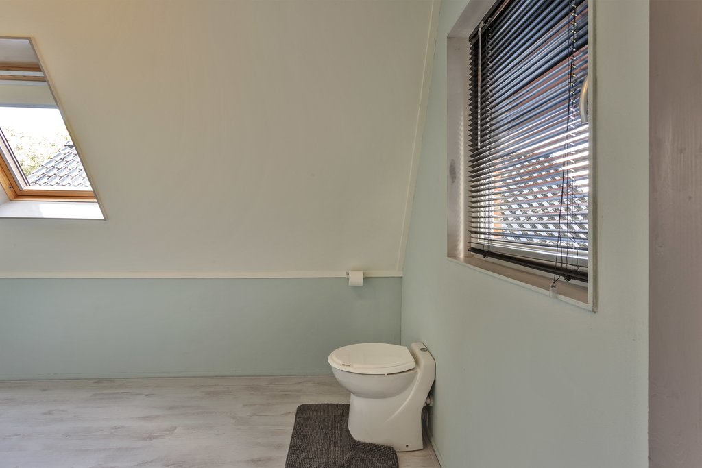 Skoalikkers 20 Augustinusga - Afbeelding 33.jpg