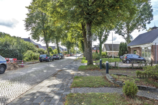 Skoalikkers 20 Augustinusga - Afbeelding 18.jpg