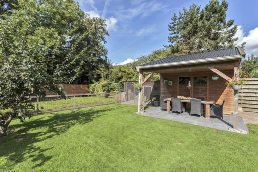 Skoalikkers 20 Augustinusga - Afbeelding 38.jpg