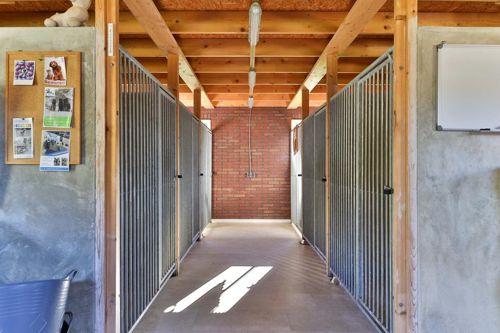 Spoarbuorren Sud 14 Kollumersweach - Afbeelding 69.jpg