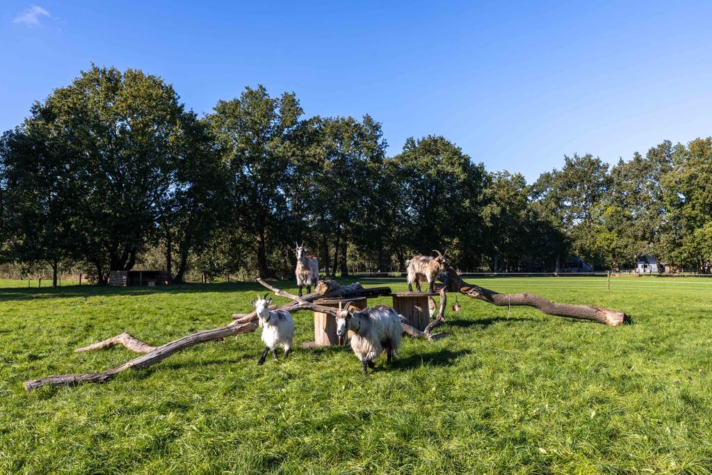 Spoarbuorren Sud 14 Kollumersweach - Afbeelding 75.jpg