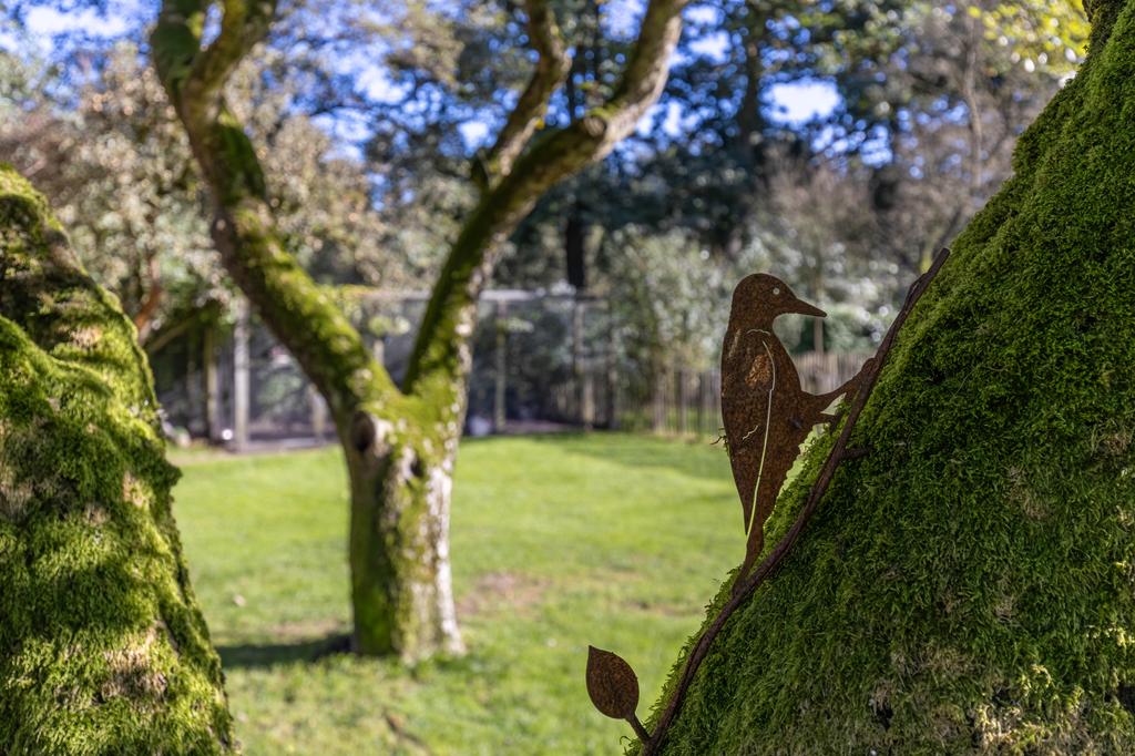 Spoarbuorren Sud 14 Kollumersweach - Afbeelding 78.jpg