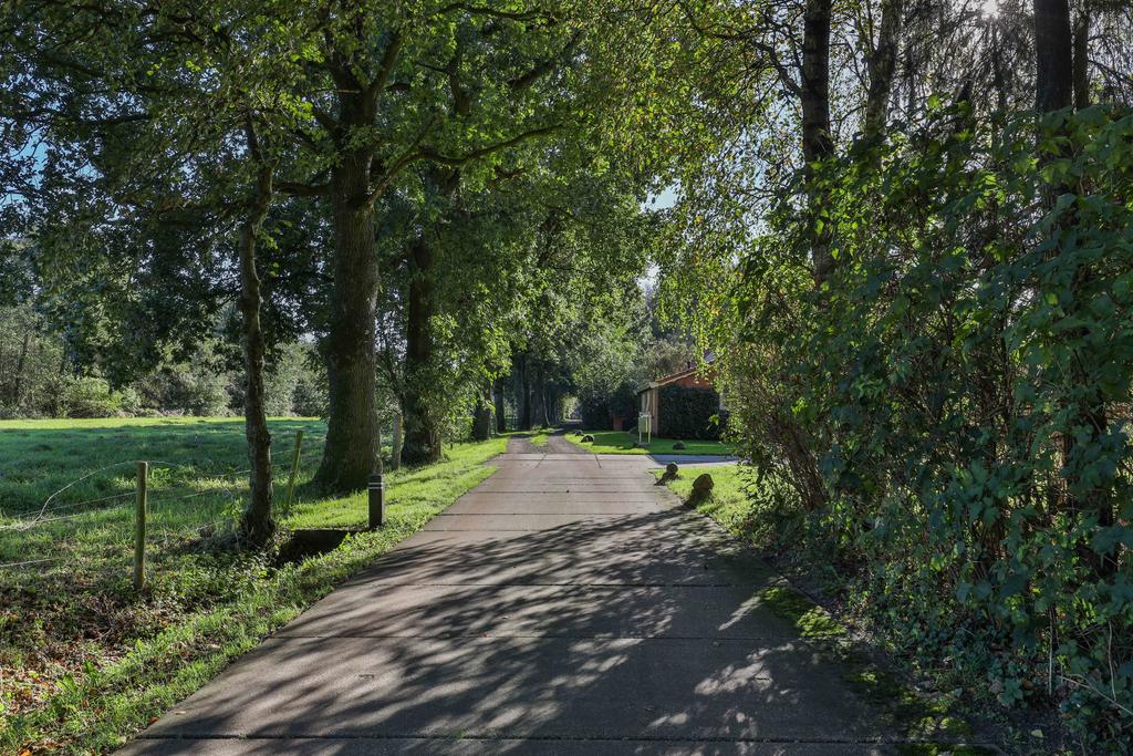 Spoarbuorren Sud 14 Kollumersweach - Afbeelding 84.jpg