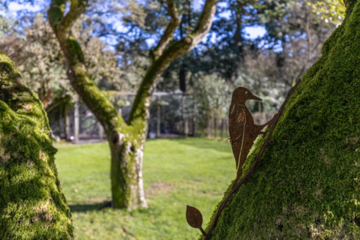 Spoarbuorren Sud 14 Kollumersweach - Afbeelding 78.jpg