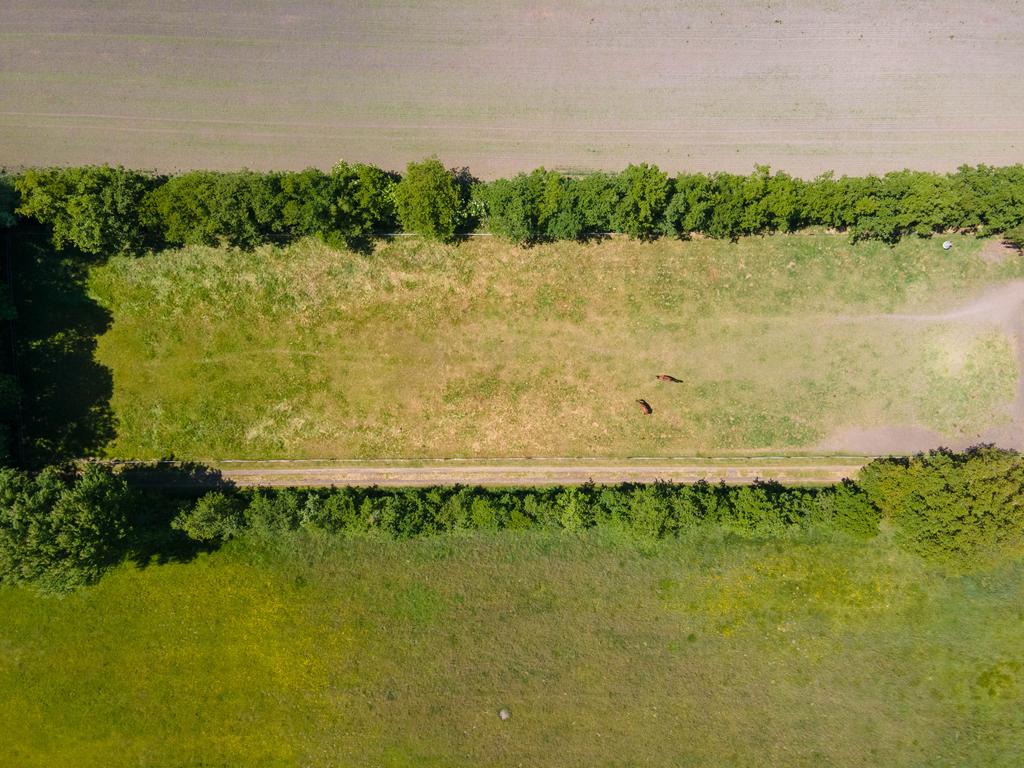 Spoarbuorren Sud 18 Kollumersweach - Afbeelding 49.jpg