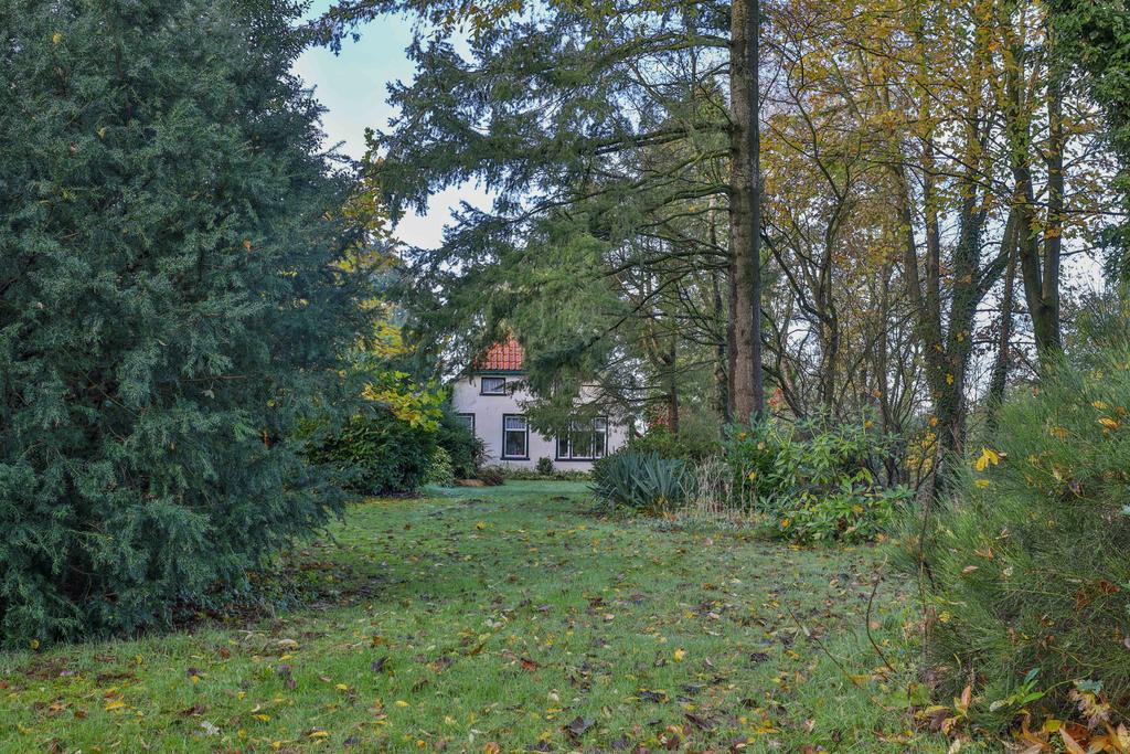 Stateheide 26 Noardburgum - Afbeelding 46.jpg