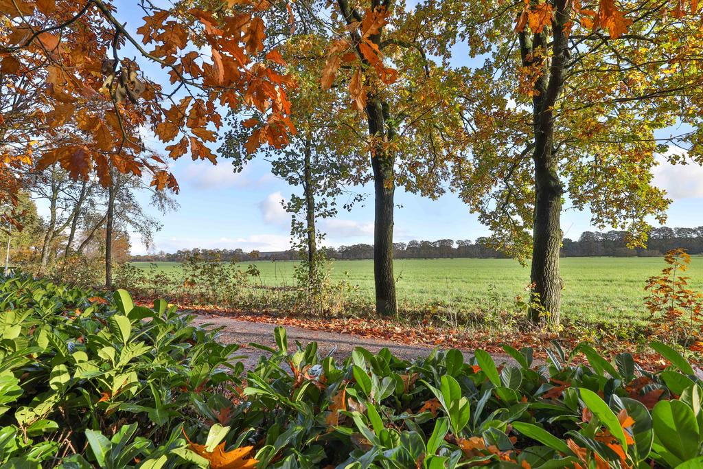 Stateheide 26 Noardburgum - Afbeelding 50.jpg