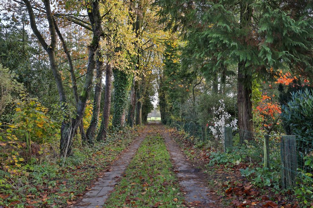 Stateheide 26 Noardburgum - Afbeelding 54.jpg