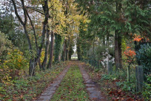 Stateheide 26 Noardburgum - Afbeelding 54.jpg