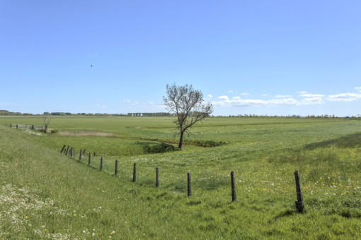 Sylsterwei 1 Engwierum - Afbeelding 45.jpg