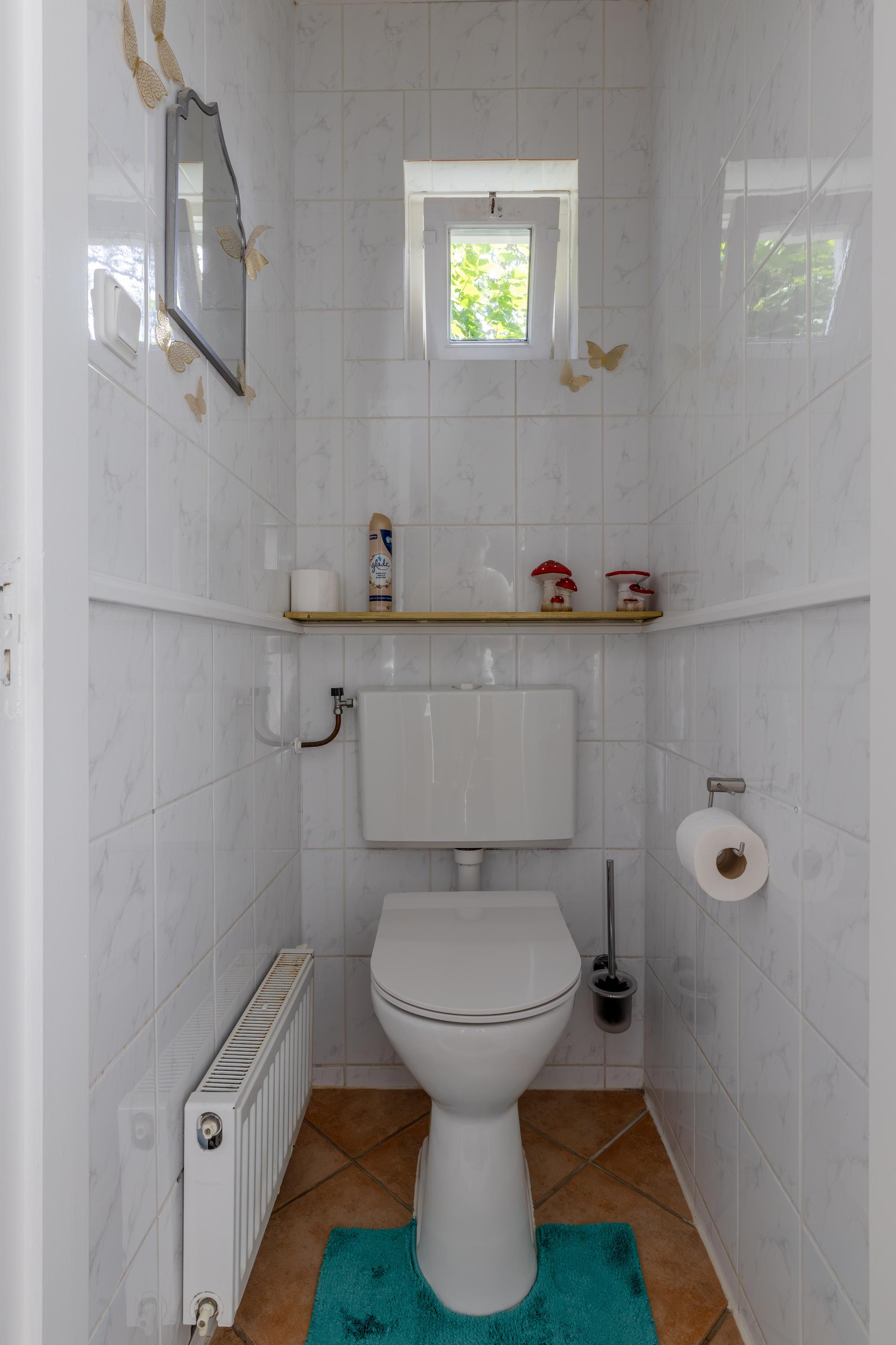 't Paed 2 Frieschepalen - Afbeelding 19.jpg