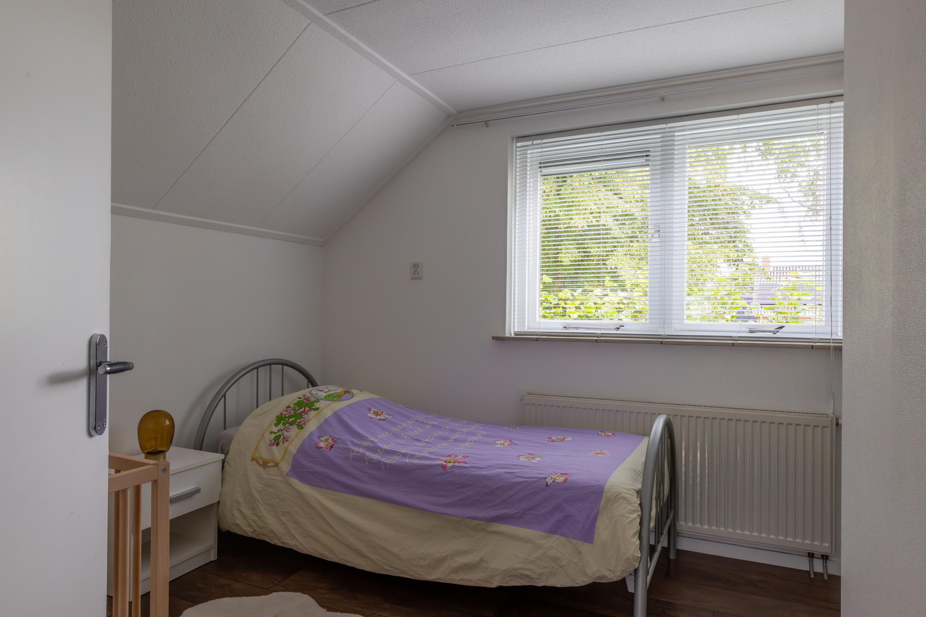 't Paed 2 Frieschepalen - Afbeelding 35.jpg