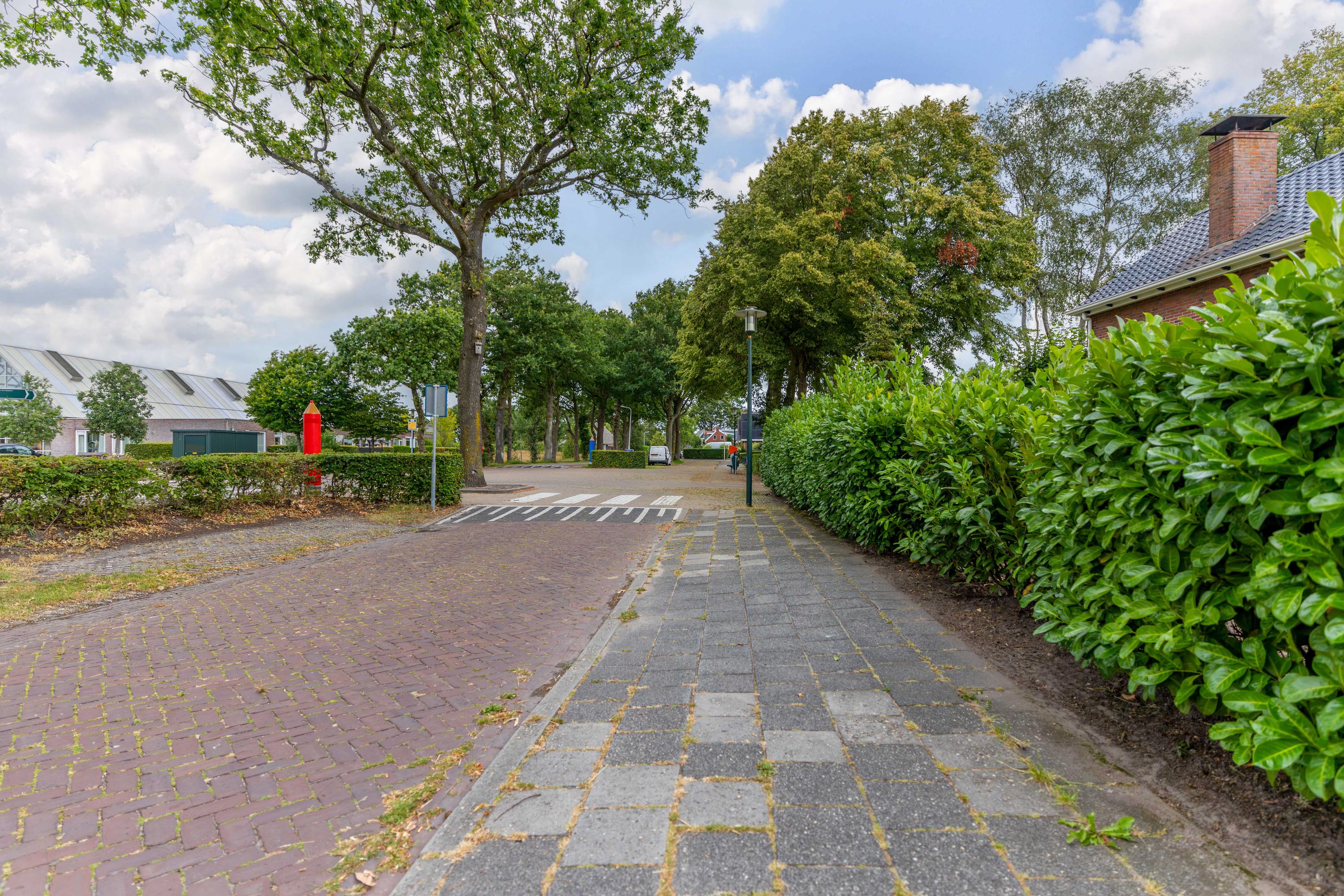 't Paed 2 Frieschepalen - Afbeelding 50.jpg