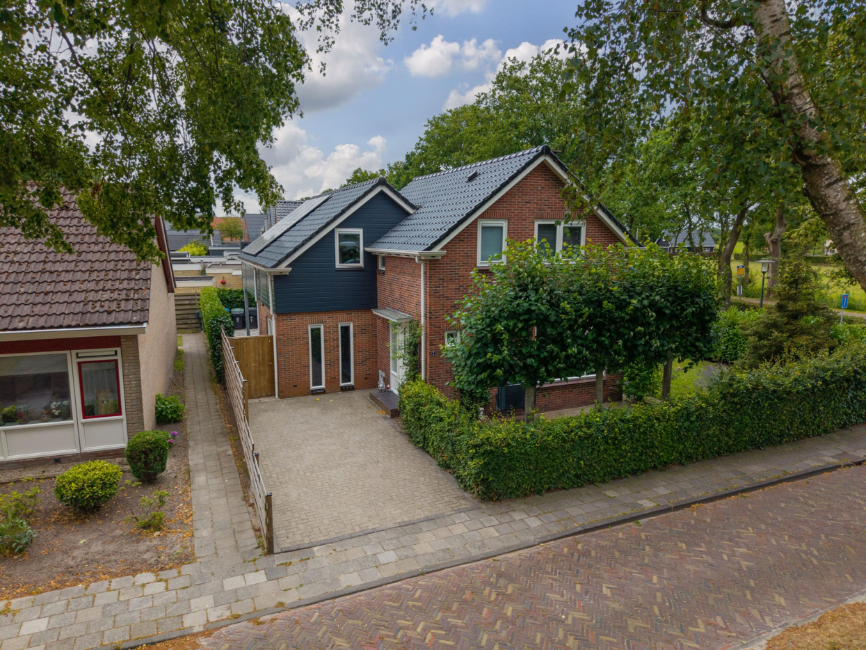 't Paed 2 Frieschepalen - Hoofdafbeelding.jpg