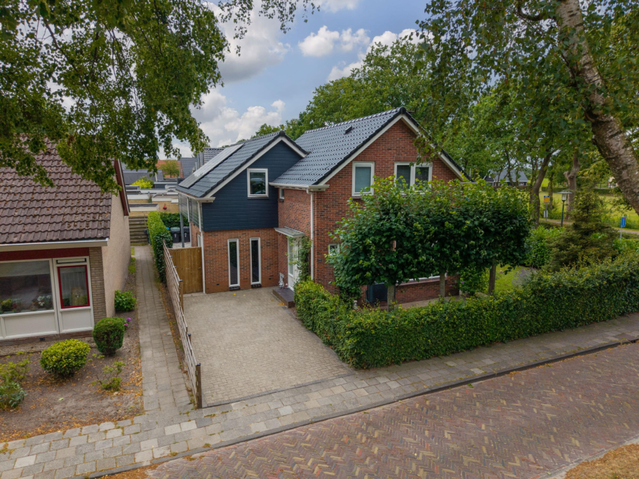 't Paed 2 Frieschepalen - Hoofdafbeelding.jpg