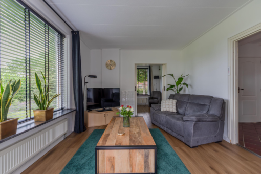 't Paed 2 Frieschepalen - Afbeelding 6.jpg