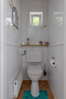 't Paed 2 Frieschepalen - Afbeelding 19.jpg