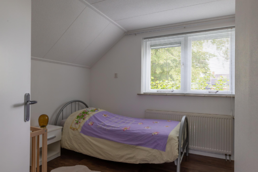 't Paed 2 Frieschepalen - Afbeelding 35.jpg