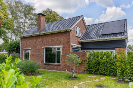't Paed 2 Frieschepalen - Afbeelding 51.jpg