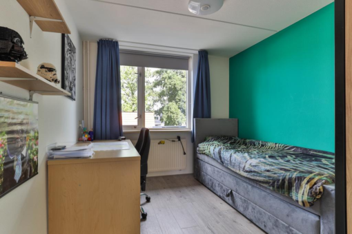 Te Nijenhuiswei 25 Wijnjewoude - Afbeelding 21.jpg