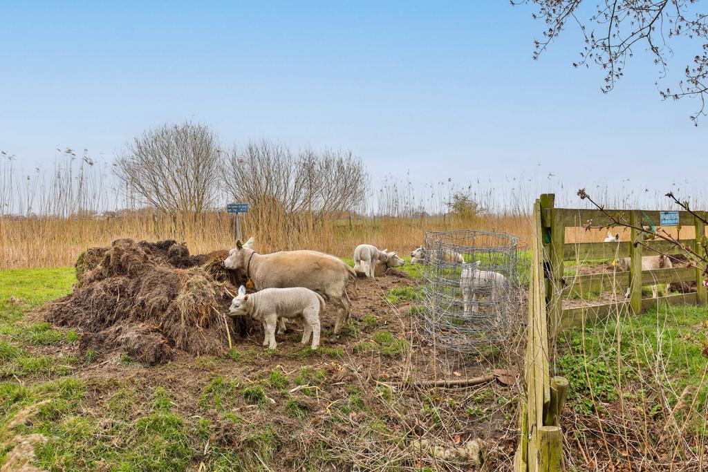 Tolhuis 16 Kollum - Afbeelding 69.jpg