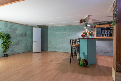 Tolhuis 16 Kollum - Afbeelding 23.jpg