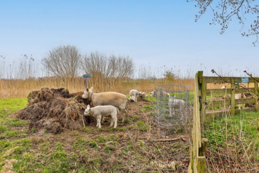 Tolhuis 16 Kollum - Afbeelding 69.jpg