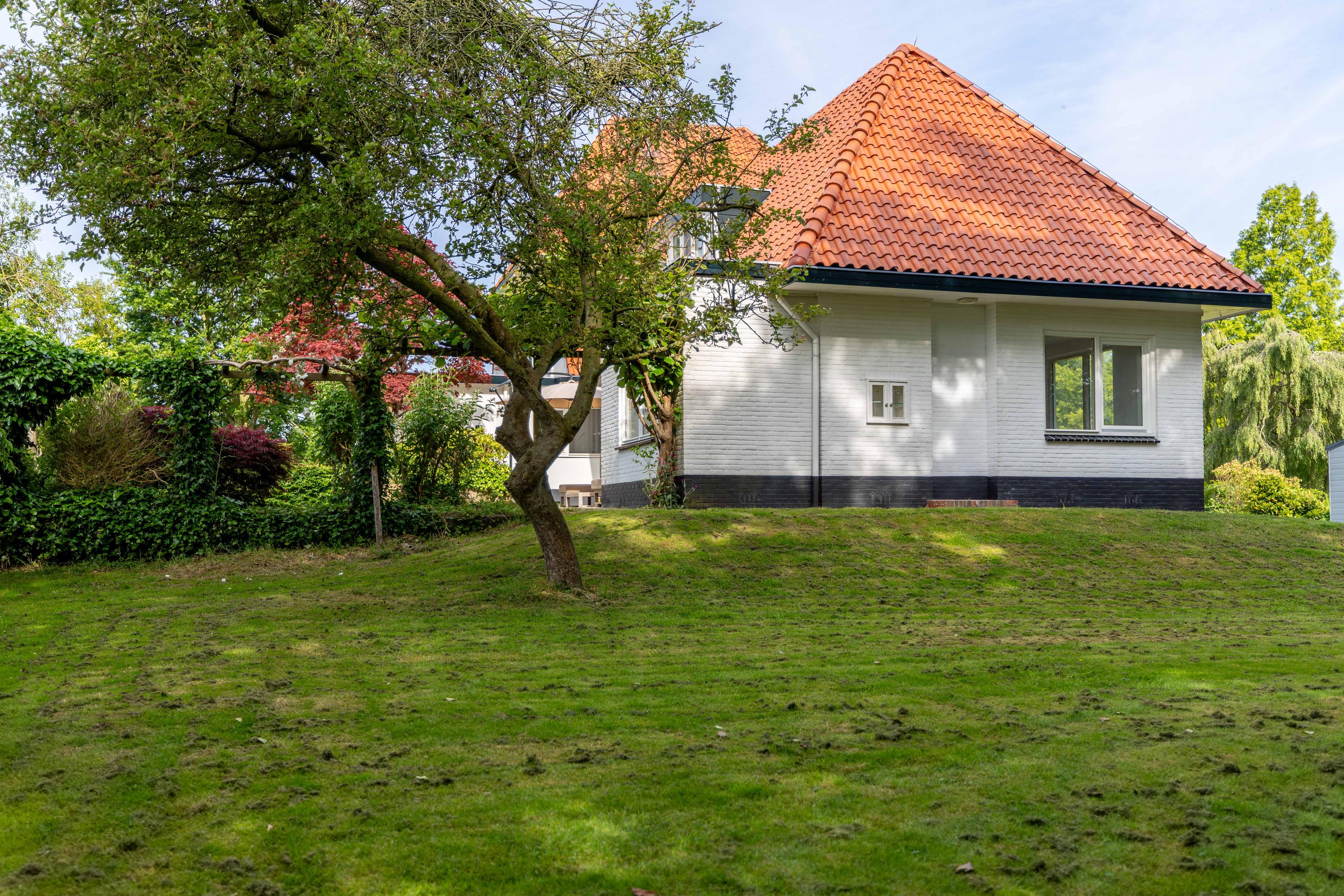Torenlaan 17 Eastermar - Afbeelding 46.jpg