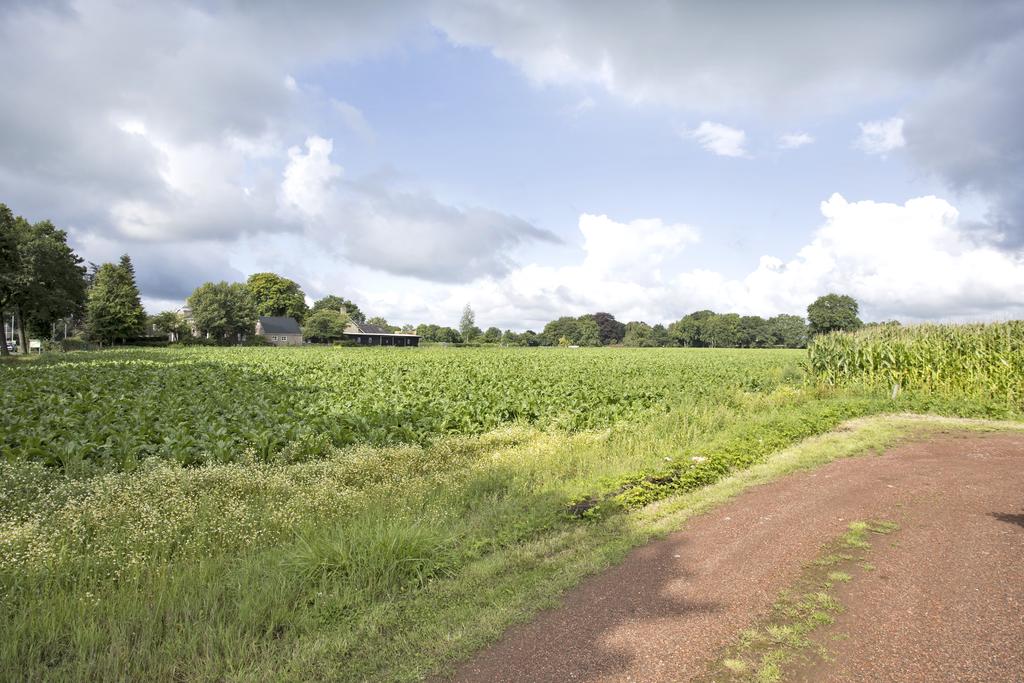 Tsjerkebuorren 3 Twijzel - Afbeelding 50.jpg