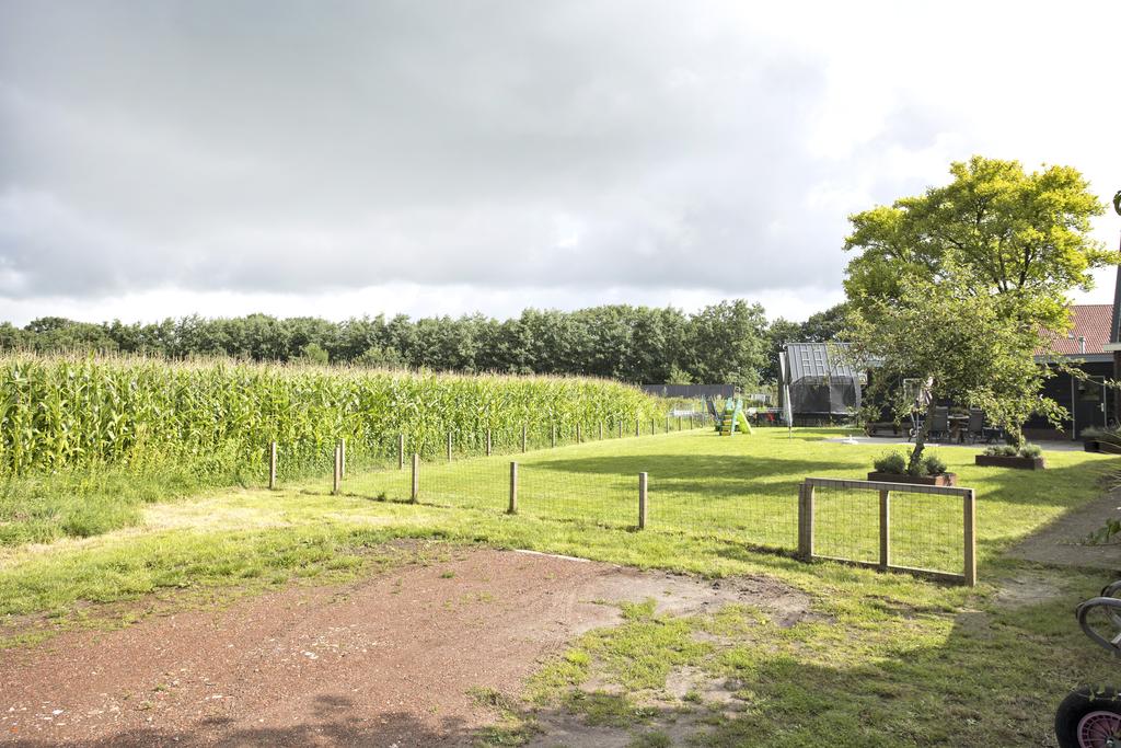 Tsjerkebuorren 3 Twijzel - Afbeelding 54.jpg