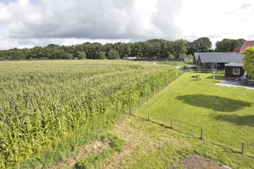 Tsjerkebuorren 3 Twijzel - Afbeelding 64.jpg