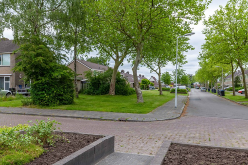 Tsjerkepaed 15 Twijzelerheide - Afbeelding 22.jpg