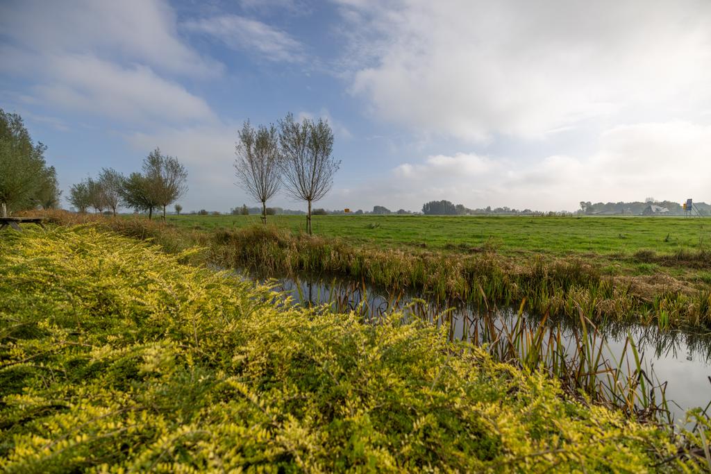 Tunmelt 16 Buitenpost - Afbeelding 50.jpg