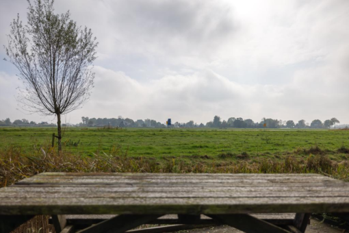 Tunmelt 16 Buitenpost - Afbeelding 4.jpg