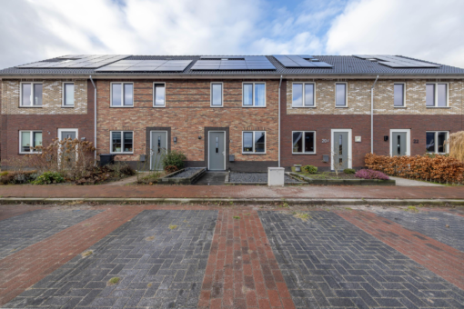 Tureluur 18 Zevenhuizen - Afbeelding 33.jpg