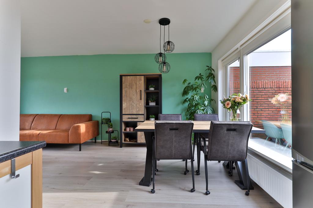 Ureterperend 26 Drachten - Afbeelding 23.jpg