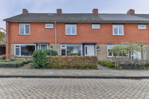 Ureterperend 26 Drachten - Afbeelding 4.jpg