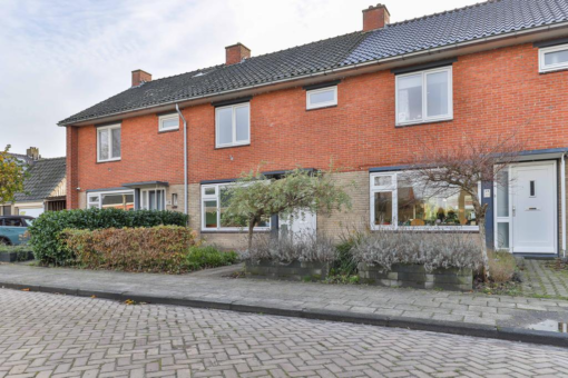 Ureterperend 26 Drachten - Afbeelding 7.jpg