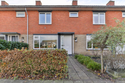 Ureterperend 26 Drachten - Afbeelding 9.jpg