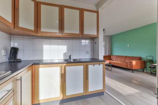 Ureterperend 26 Drachten - Afbeelding 12.jpg