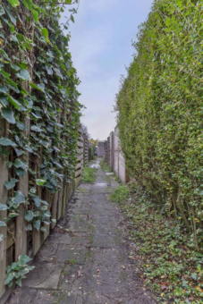 Ureterperend 26 Drachten - Afbeelding 46.jpg