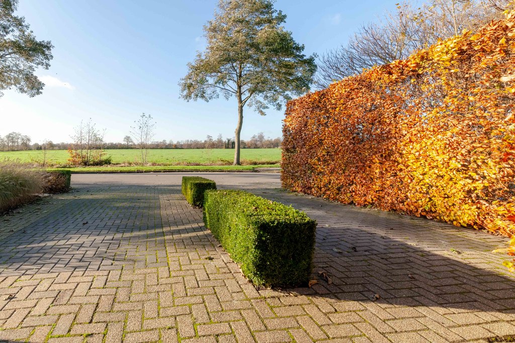 Verlaatsdam 9 Surhuisterveen - Afbeelding 53.jpg