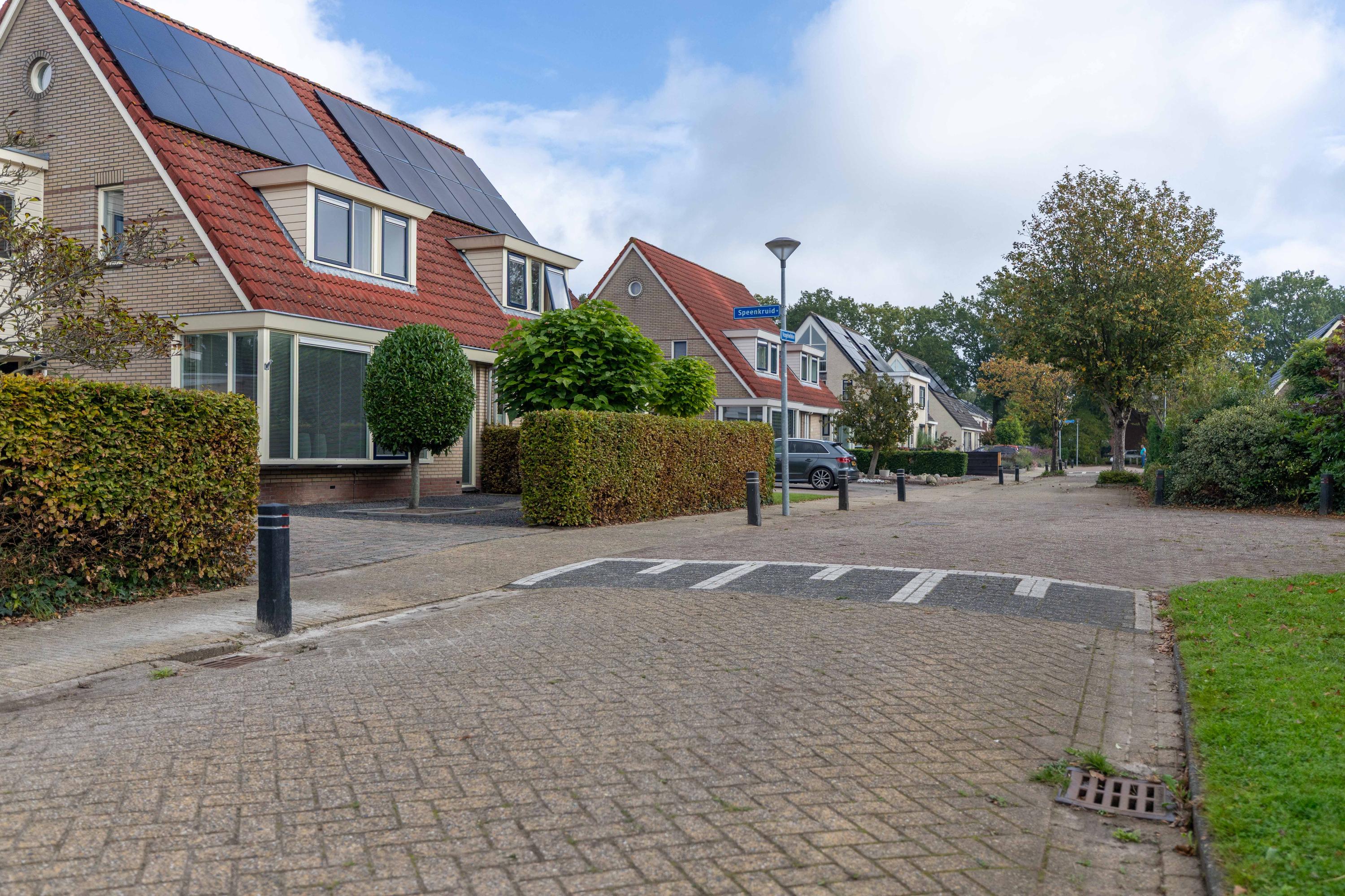 Vogelwikke 16 Grootegast - Afbeelding 67.jpg