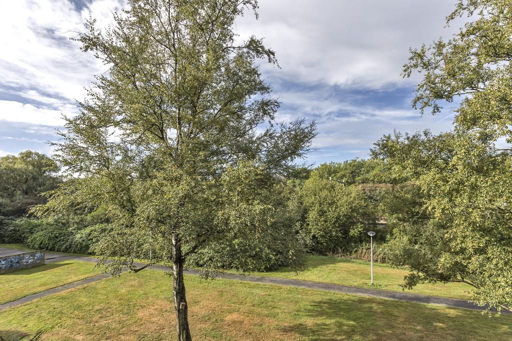 Walstroweg 60 Haren Gn - Afbeelding 22.jpg