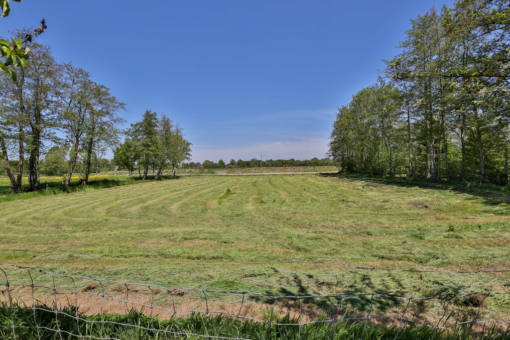 Warreboslaan 25 Surhuisterveen - Afbeelding 52.jpg