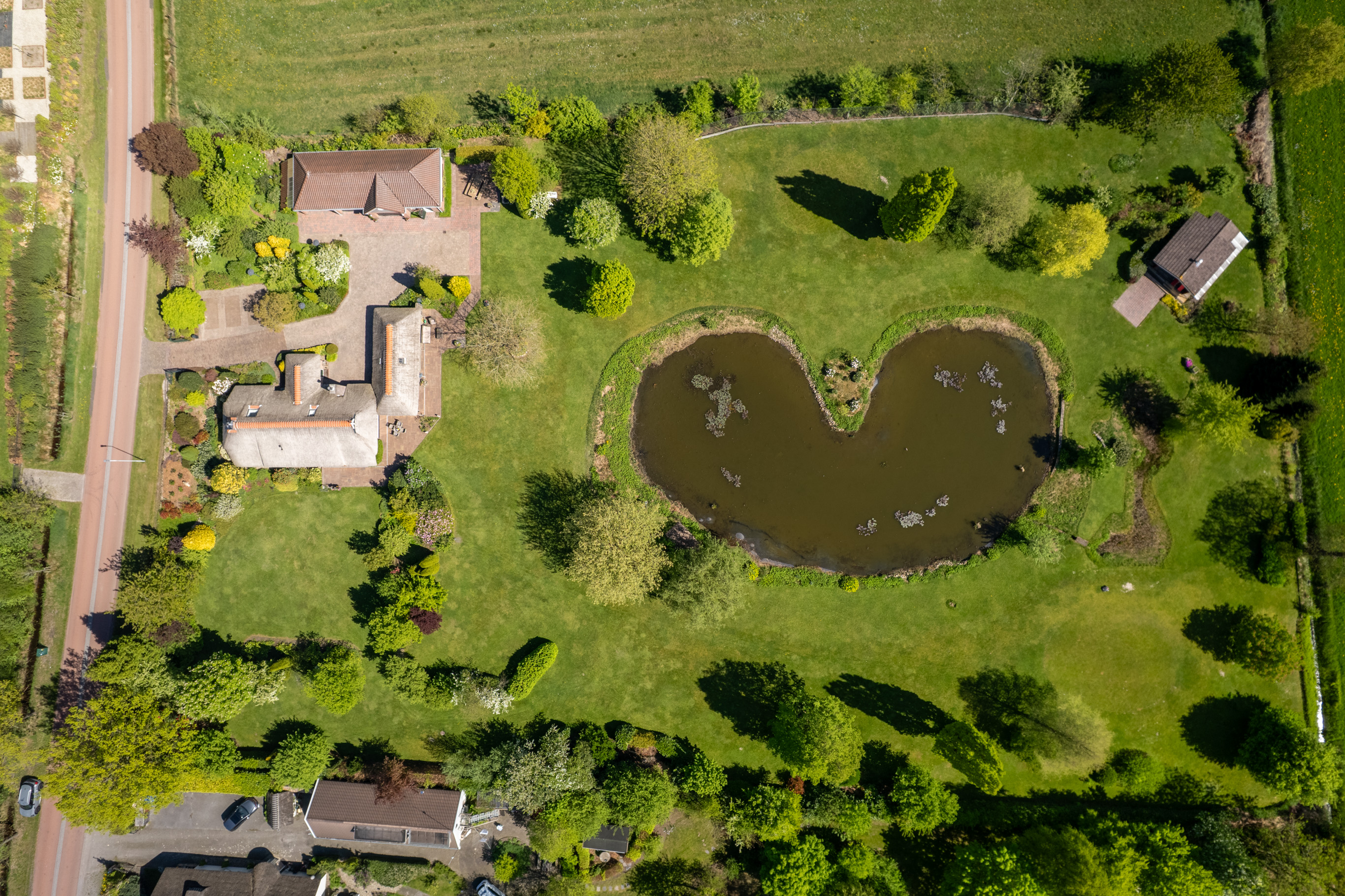 Warreboslaan 41 Surhuisterveen - Hoofdafbeelding.jpg